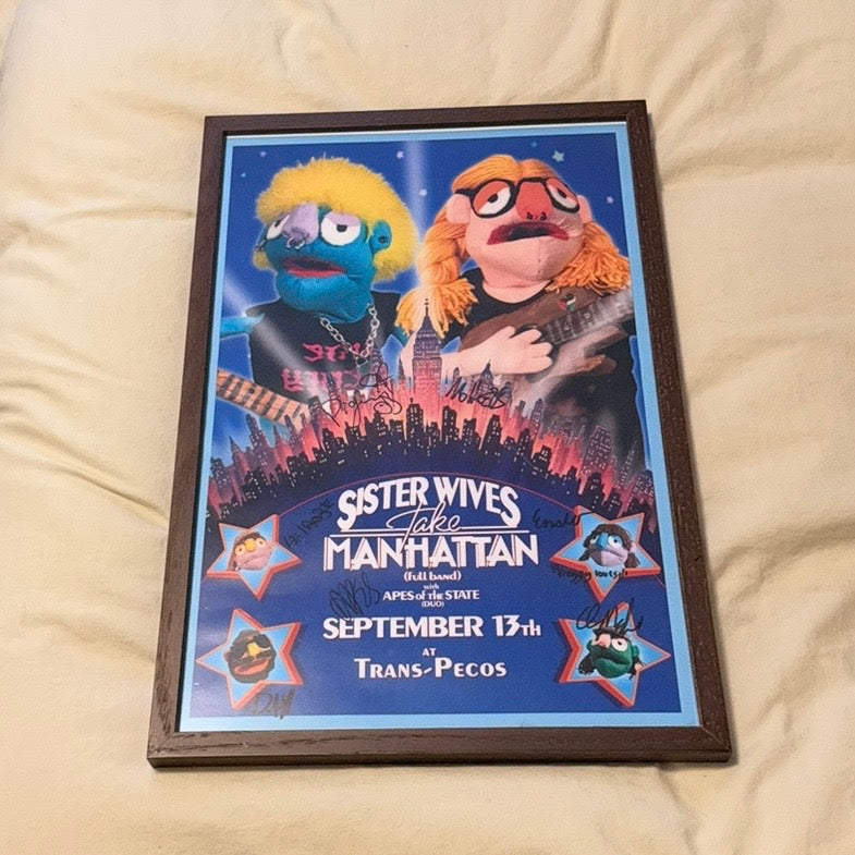 Sister Wife Supergroup Poster - Muppets